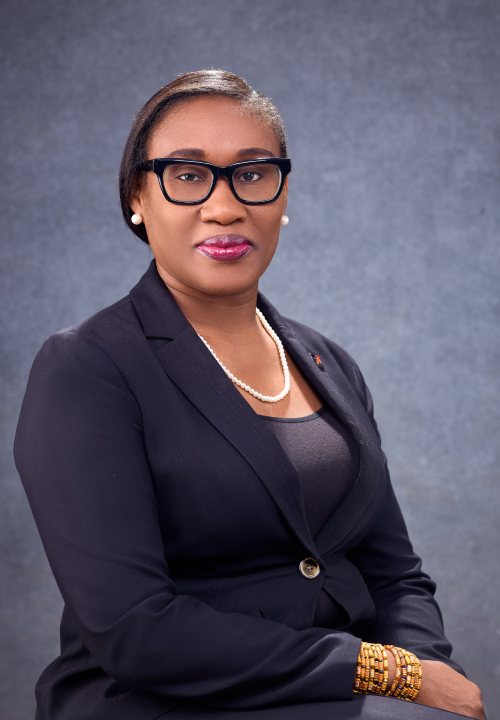 DUMEBI OKWOR image