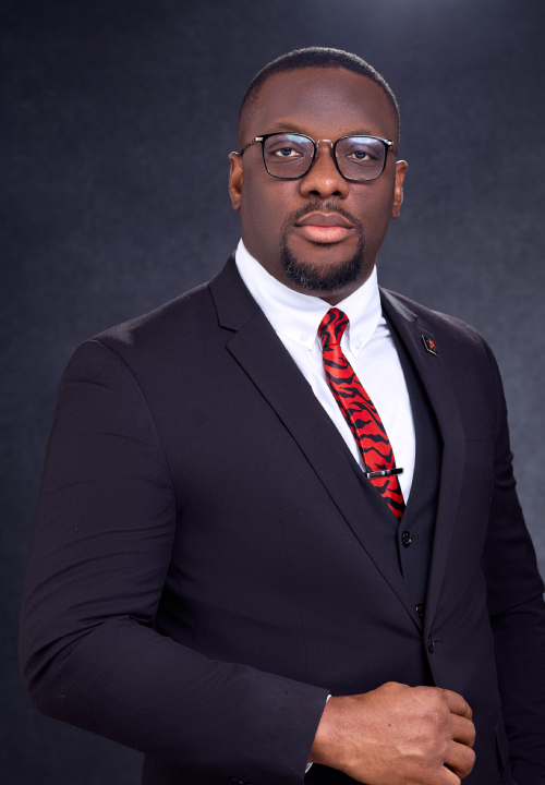 CHUKWUEMEKA NWAOGU image